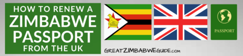 zimbabwe passport visuals