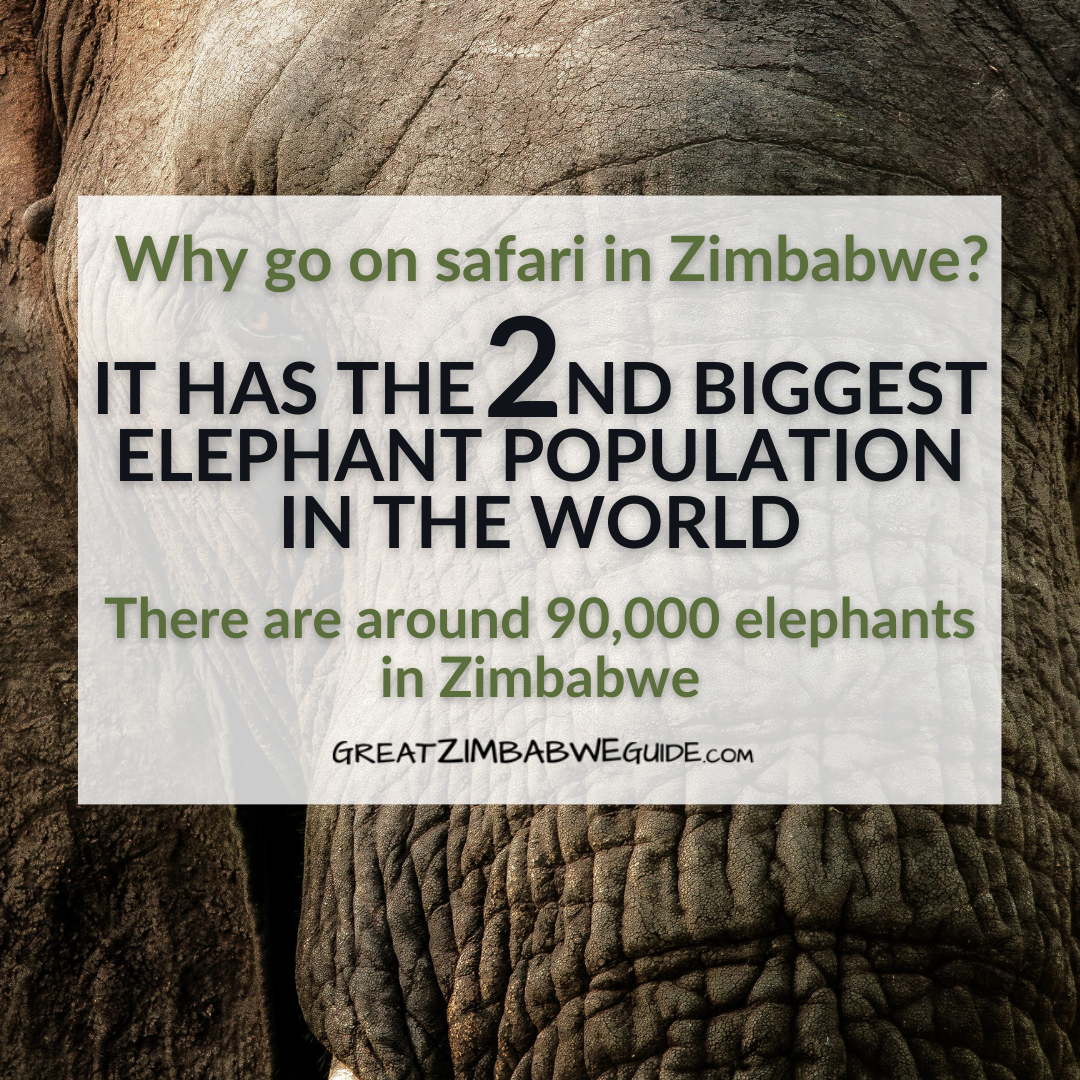 Zimbabwe Africa Safari biggest elephant population world