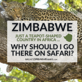 Zimbabwe Why Go On African Safari Great Guide