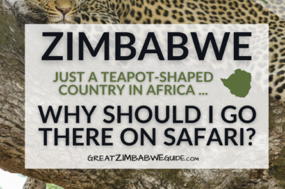 Zimbabwe Why Go On African Safari Great Guide