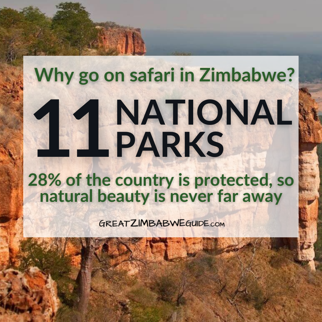 Zimbabwe Africa safari national parks tourists