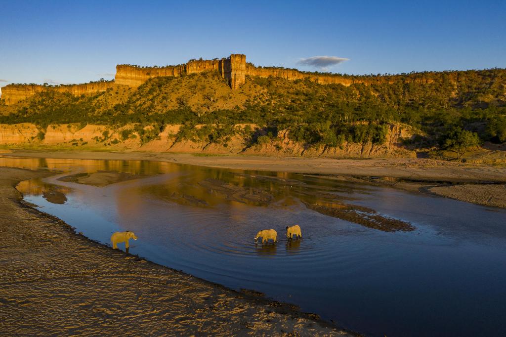 Elephants Runde Chilojo cliffs Zimbabwe